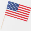 America Project Day