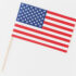 America Project Day