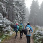 Cesta lesem Cesta lesem